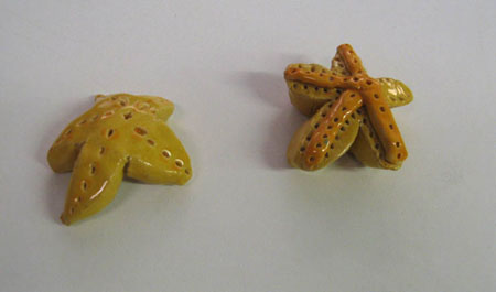 Star Fish - Christabel Gibson