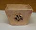 plant pot1 - Lily Gravell